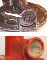 Regulator vent with protective screen